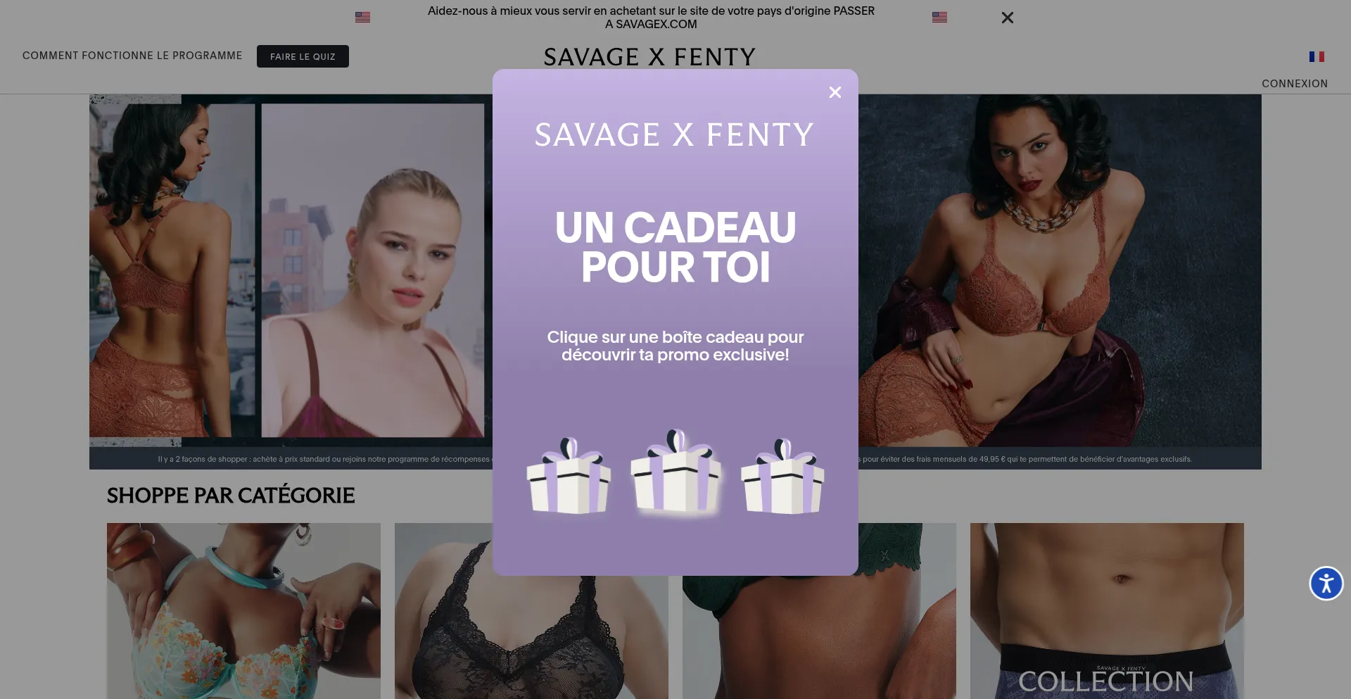 Savagex.fr é Seguro e Confiável?