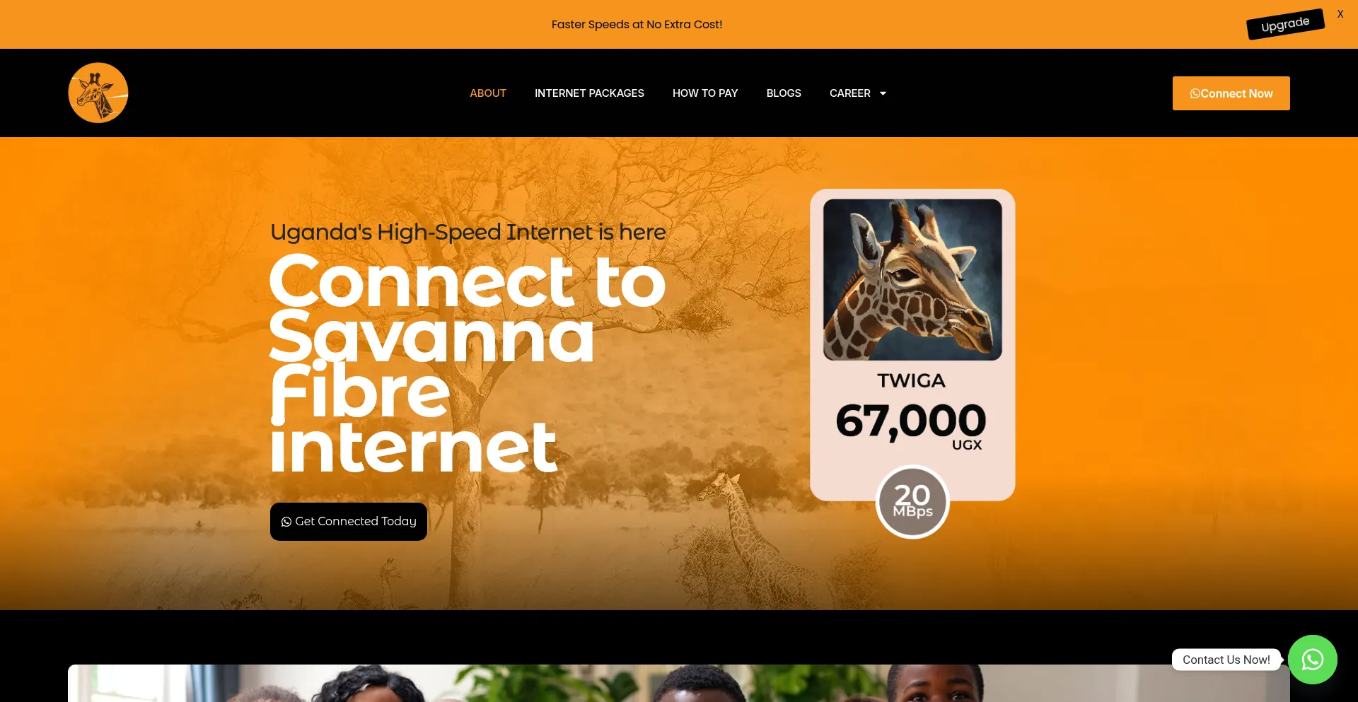 Savannafibre.com Screenshot