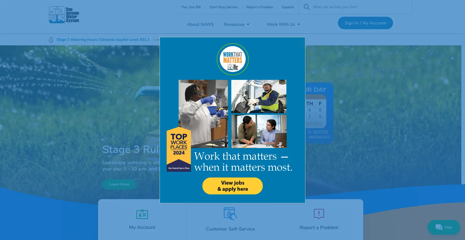 Website screenshot of Saws.org