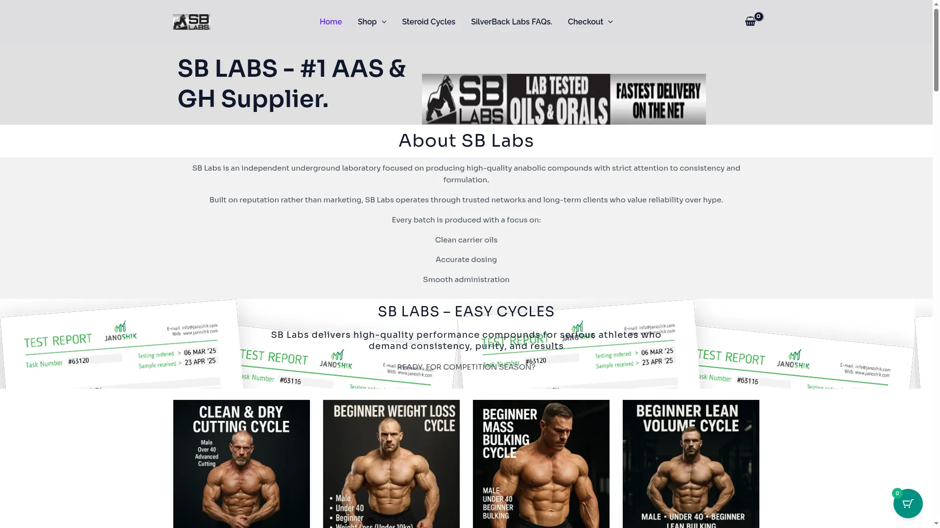 Sblabsofficial.net