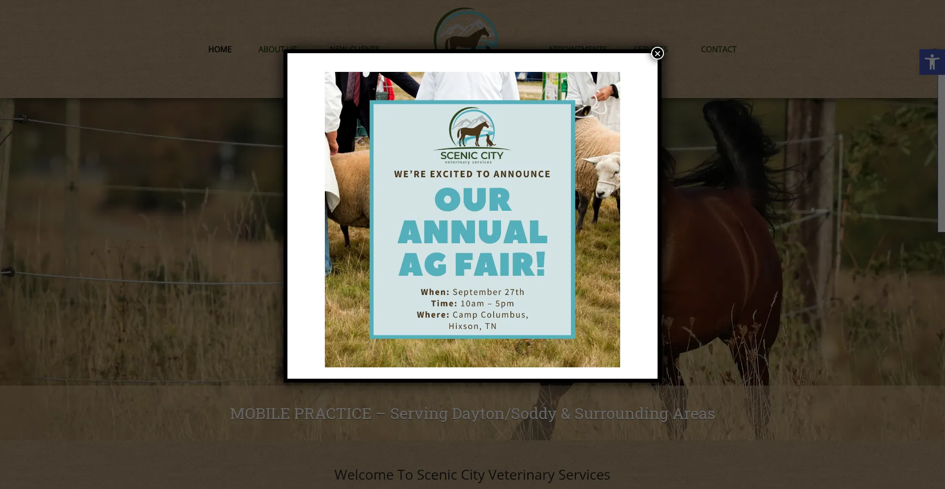 Sceniccityvet.com Screenshot