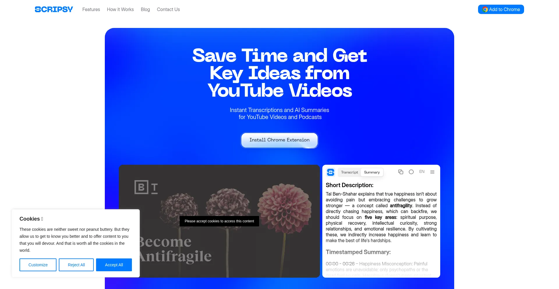 Scripsy.ai é Seguro e Confiável?