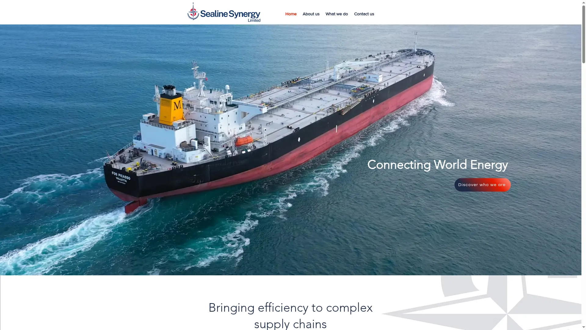 Sealinesynergy.com