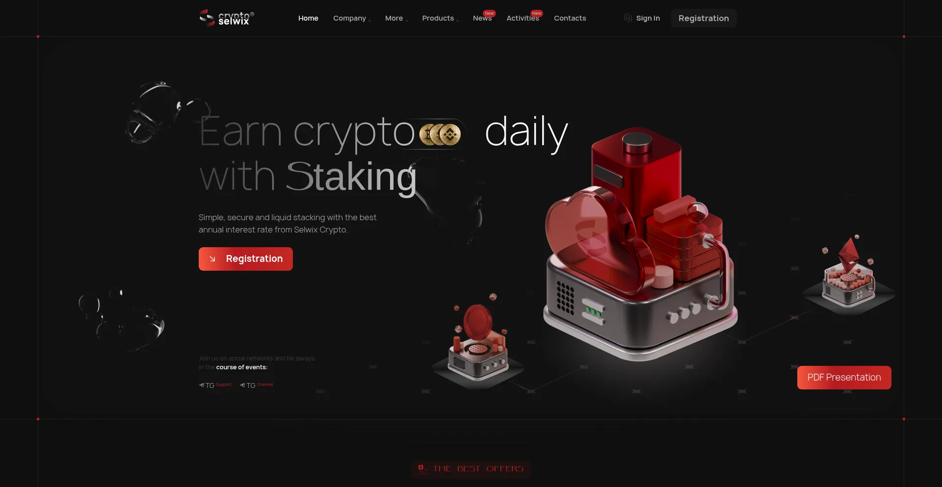 Website screenshot of Selwix.org
