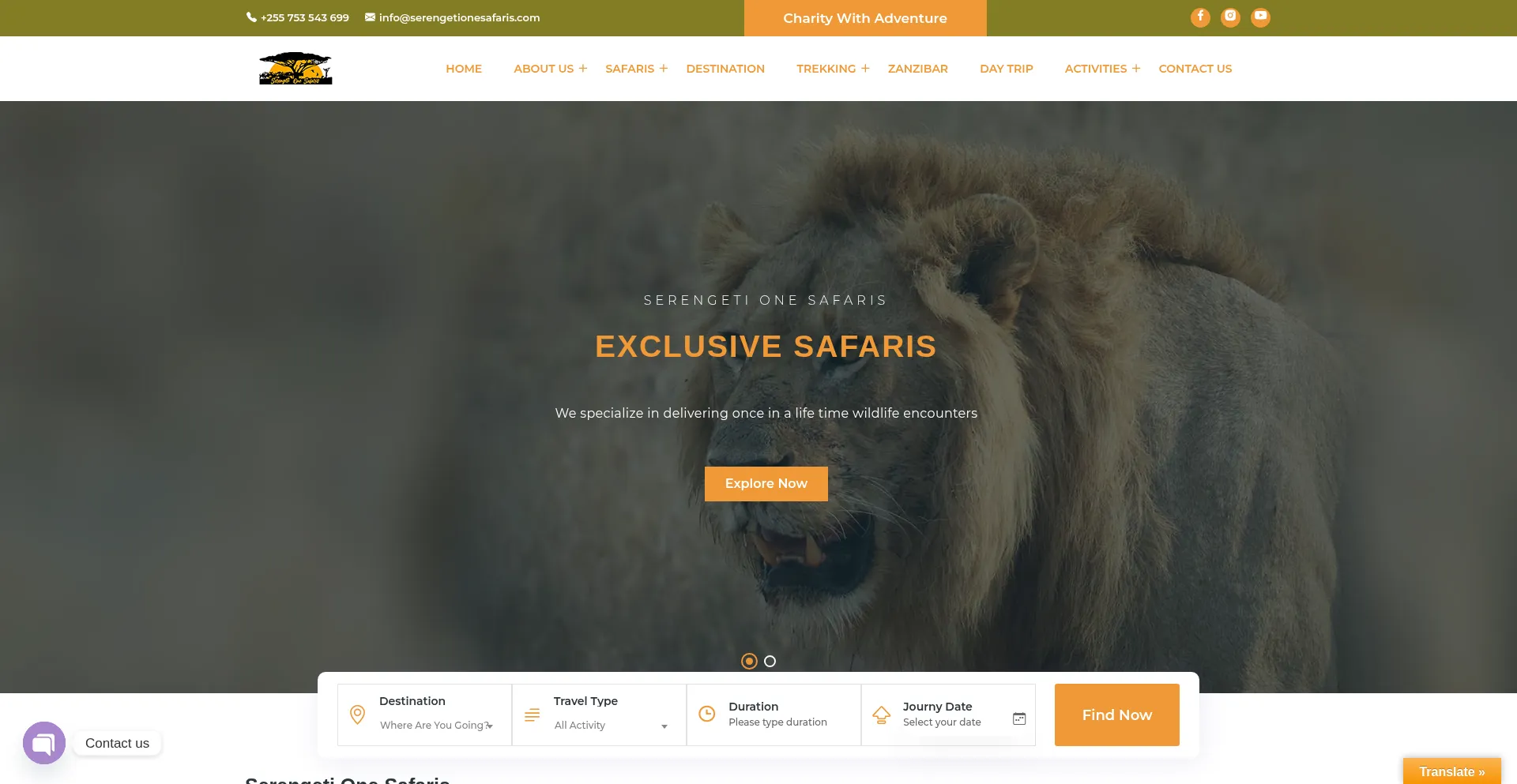 Website screenshot of Serengetionesafaris.com