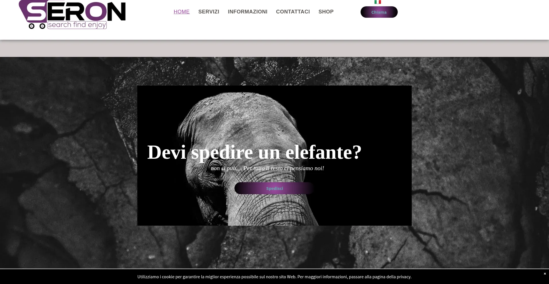 Website screenshot of Seron-express.com