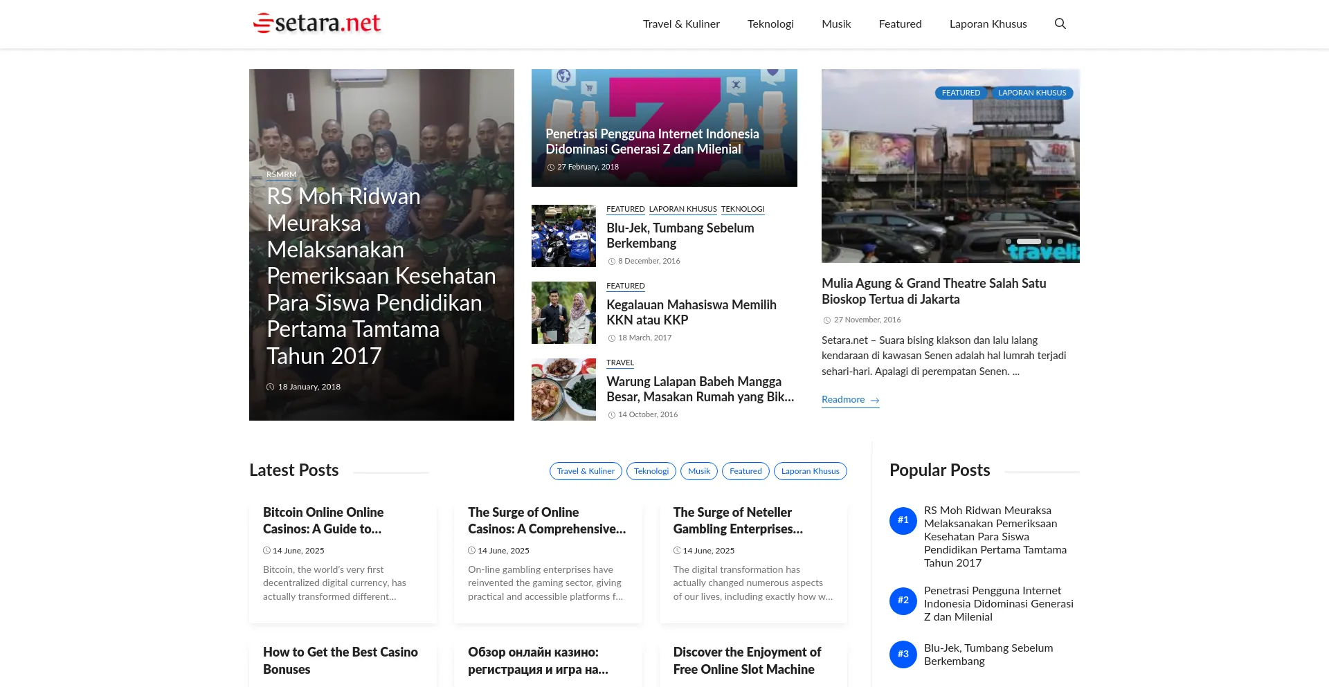Website screenshot of Setara.net