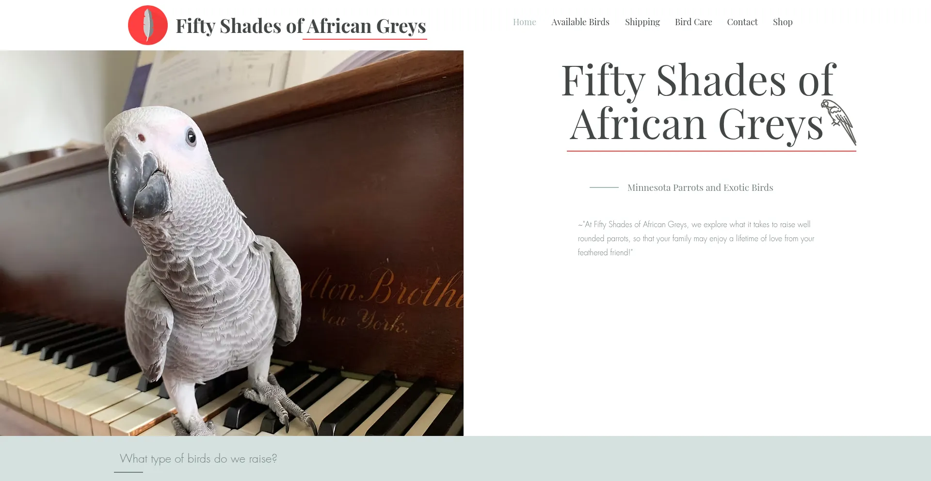 Website screenshot of Shadesofgreys.com