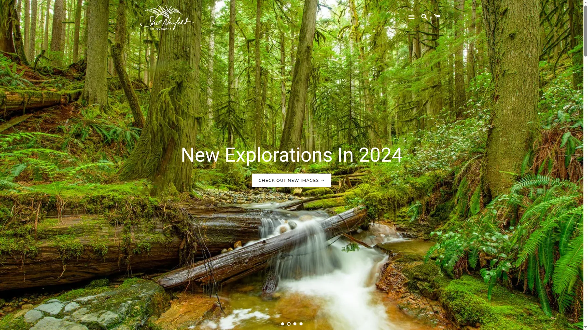Shelneufeld.com