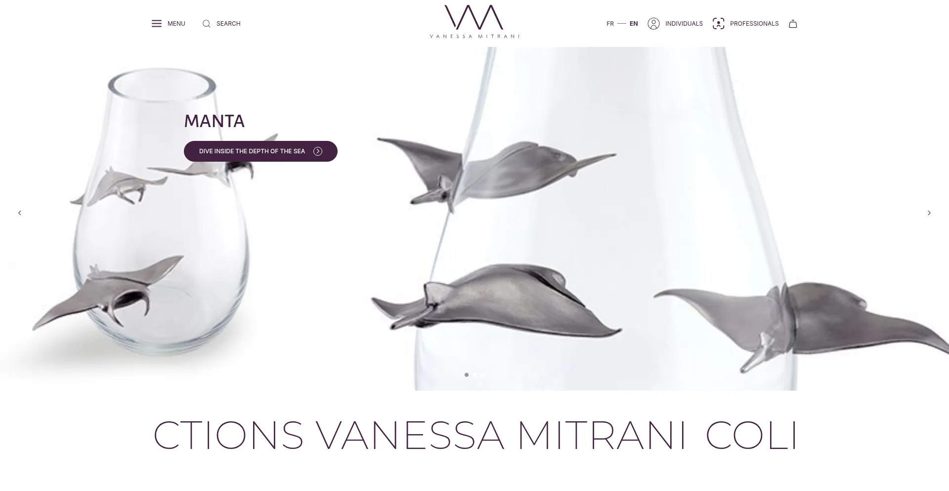 Shop.vanessamitrani.com