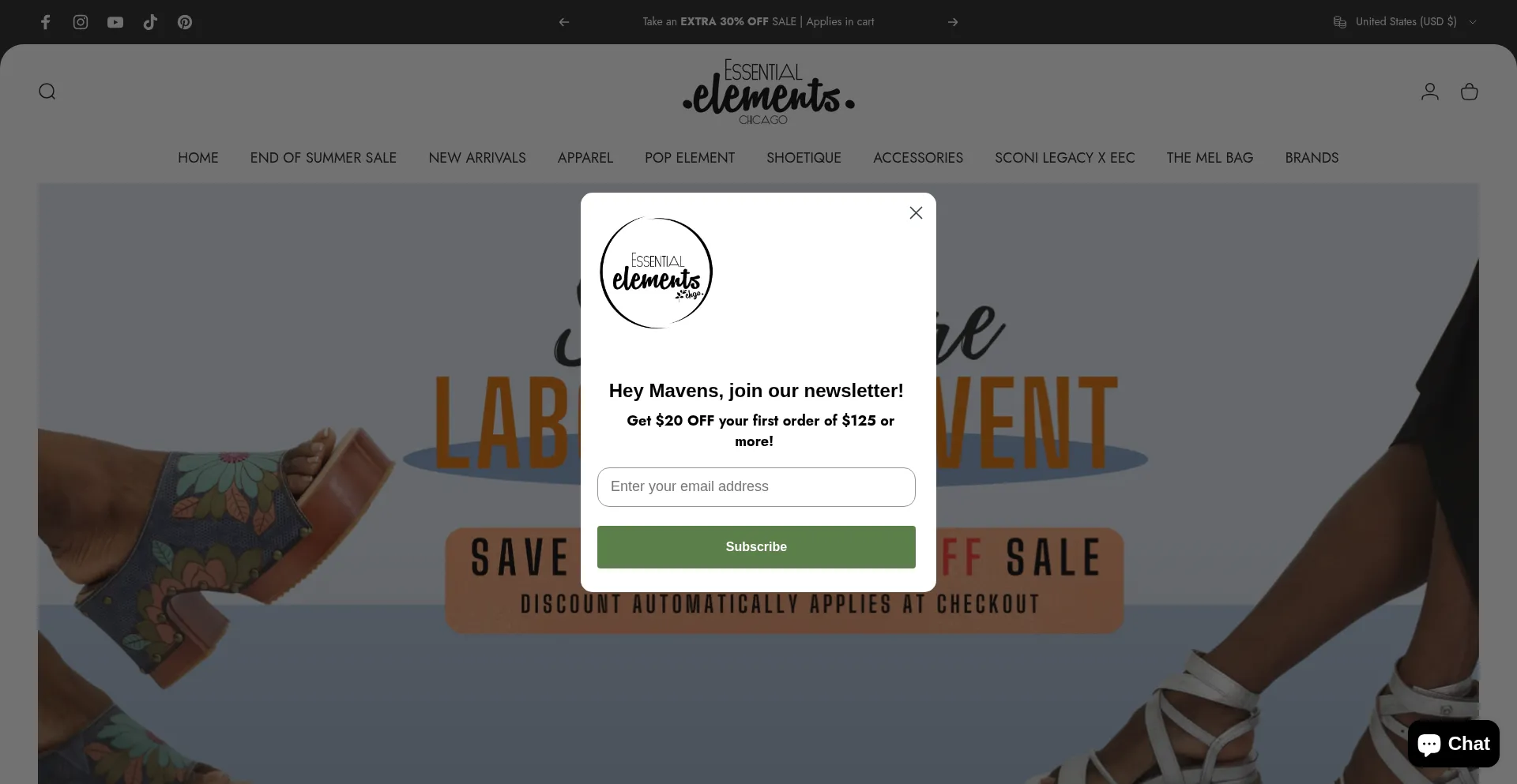 Website screenshot of Shopeechicago.com