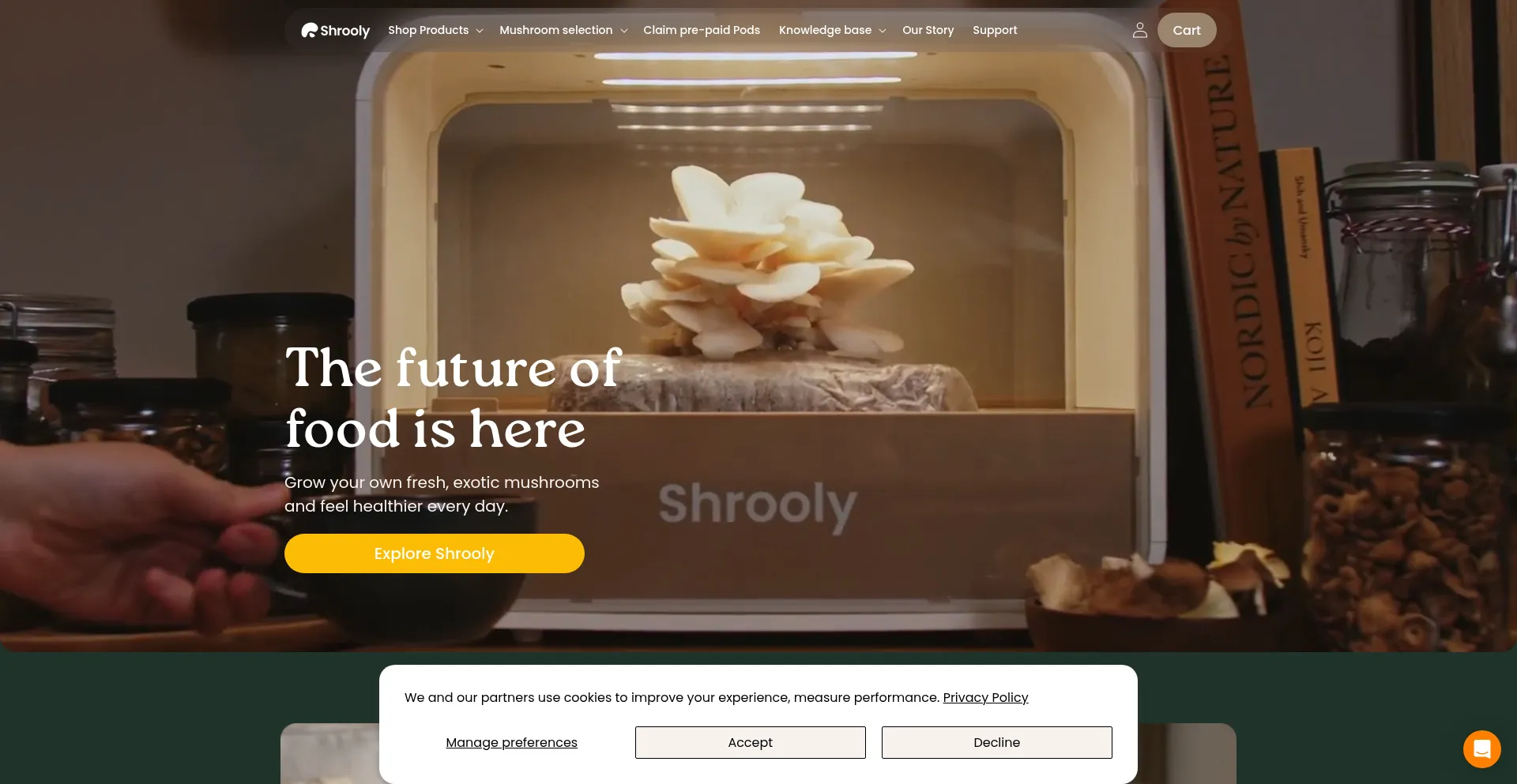Shrooly.com é Seguro e Confiável?