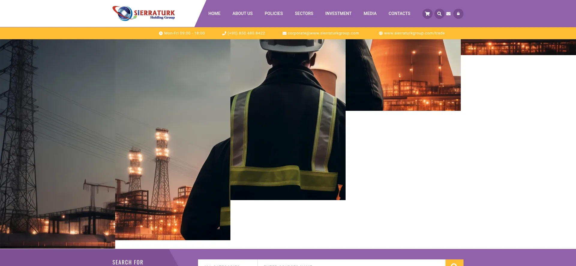 Website screenshot of Sierraturkgroup.com