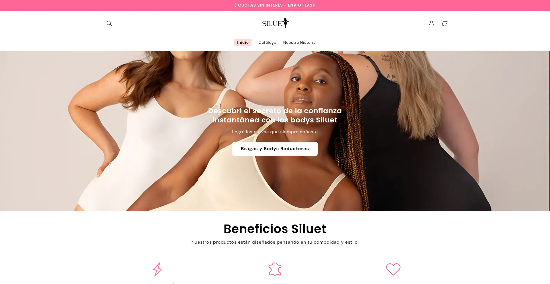 Website screenshot of Siluetbodyshop.com