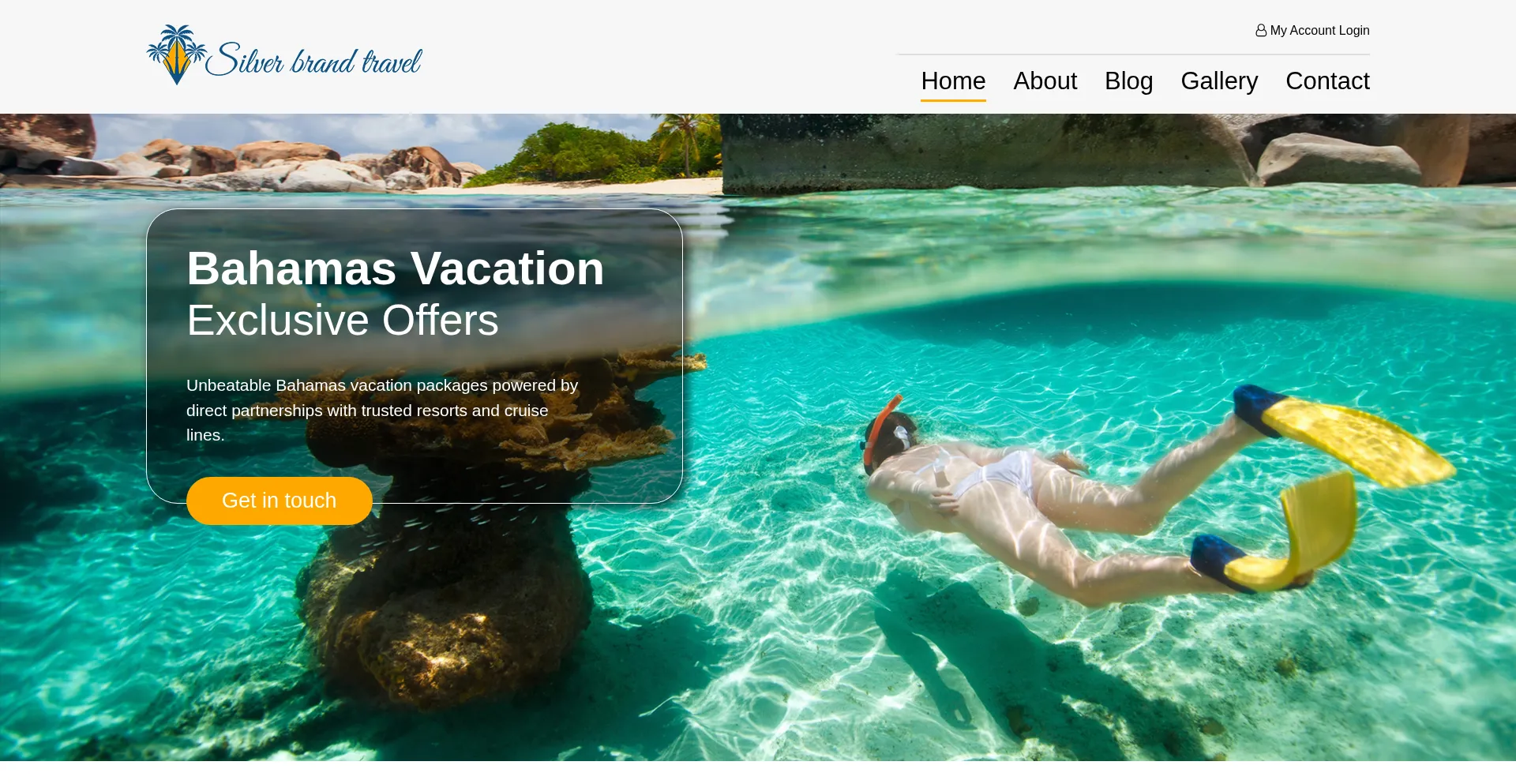 Website screenshot of Silverbrandtravel.com