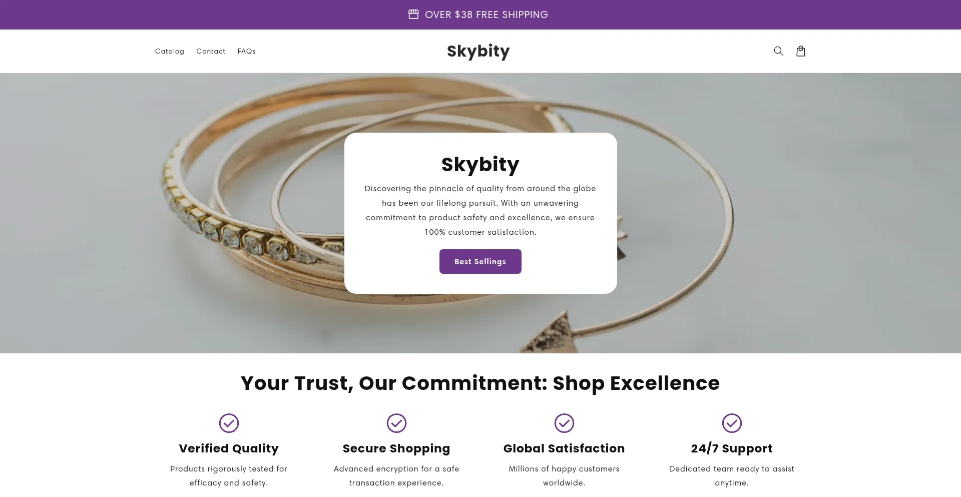 Website screenshot of Skybity.com