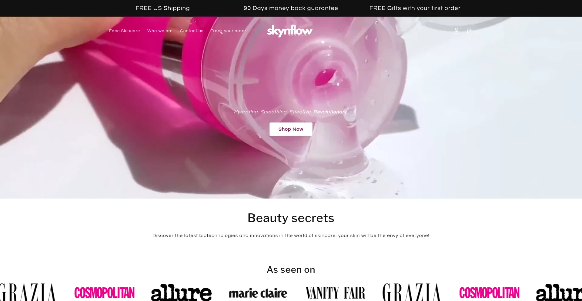 Skynflow.com é Seguro e Confiável?