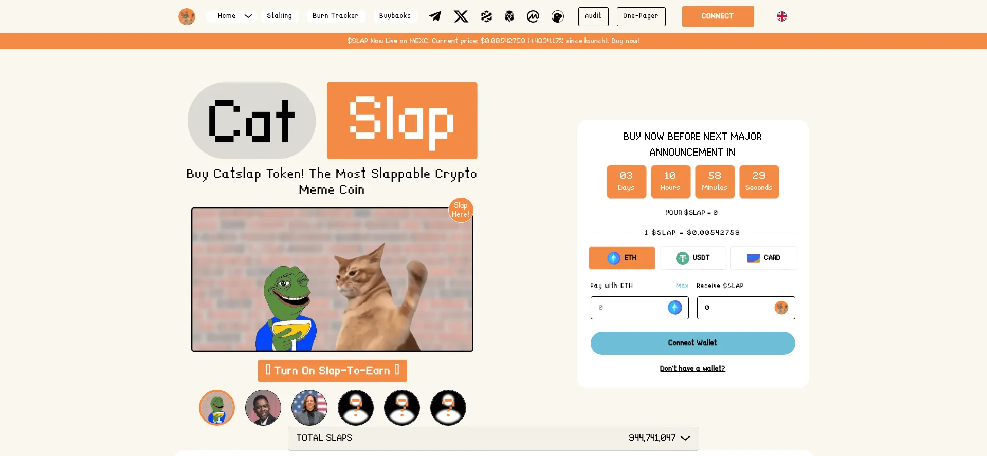 Slapcattoken.com