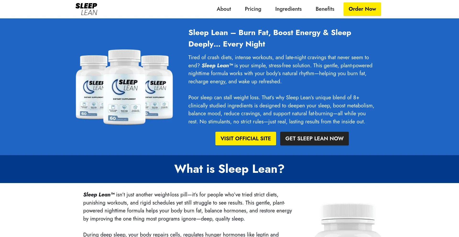 Website screenshot of Sliplean.com