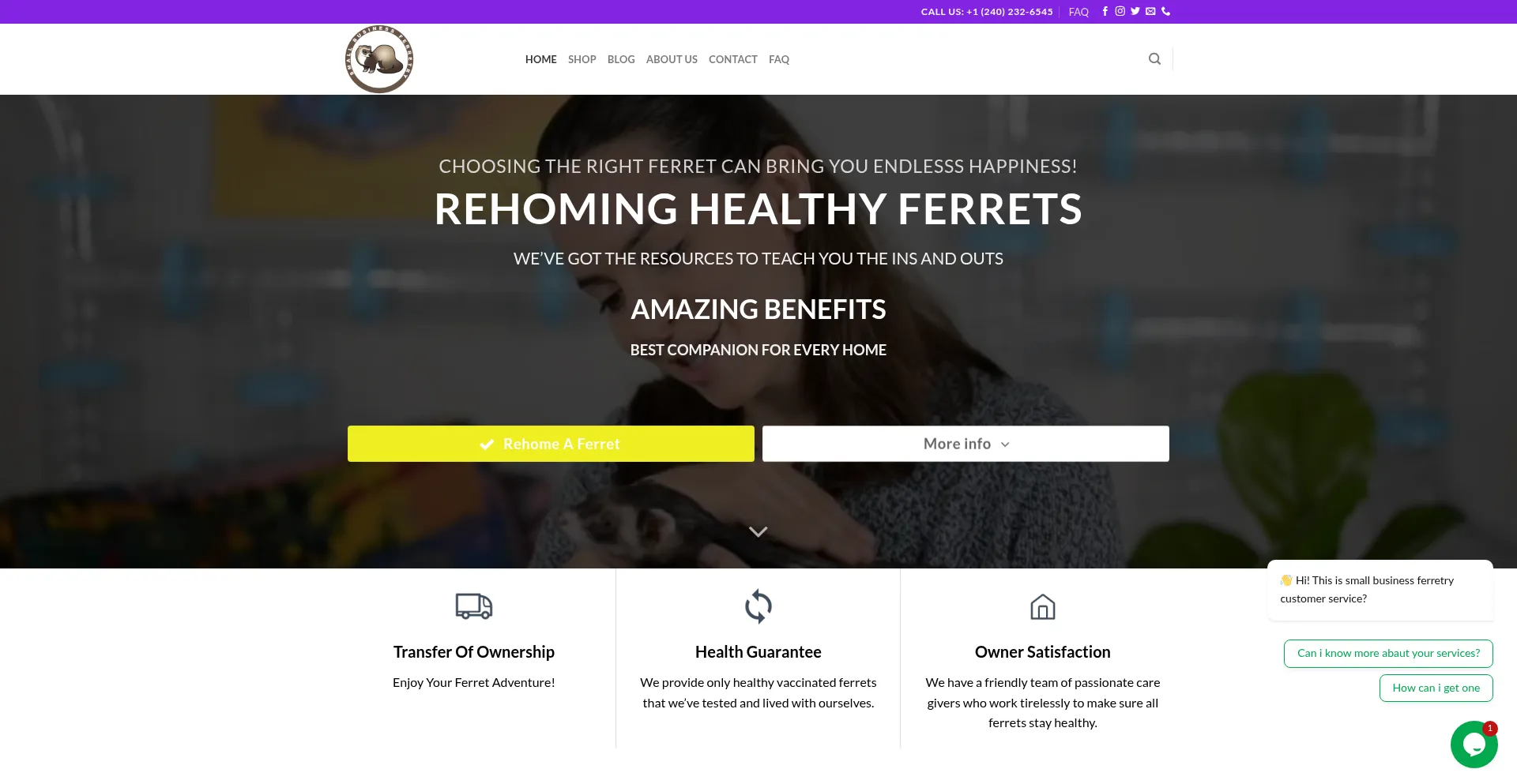 Smallbusinessferretry.com