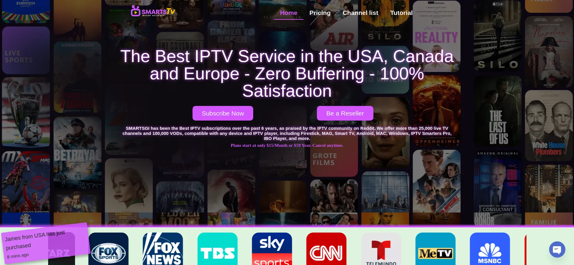 Website screenshot of Smartsgi.com