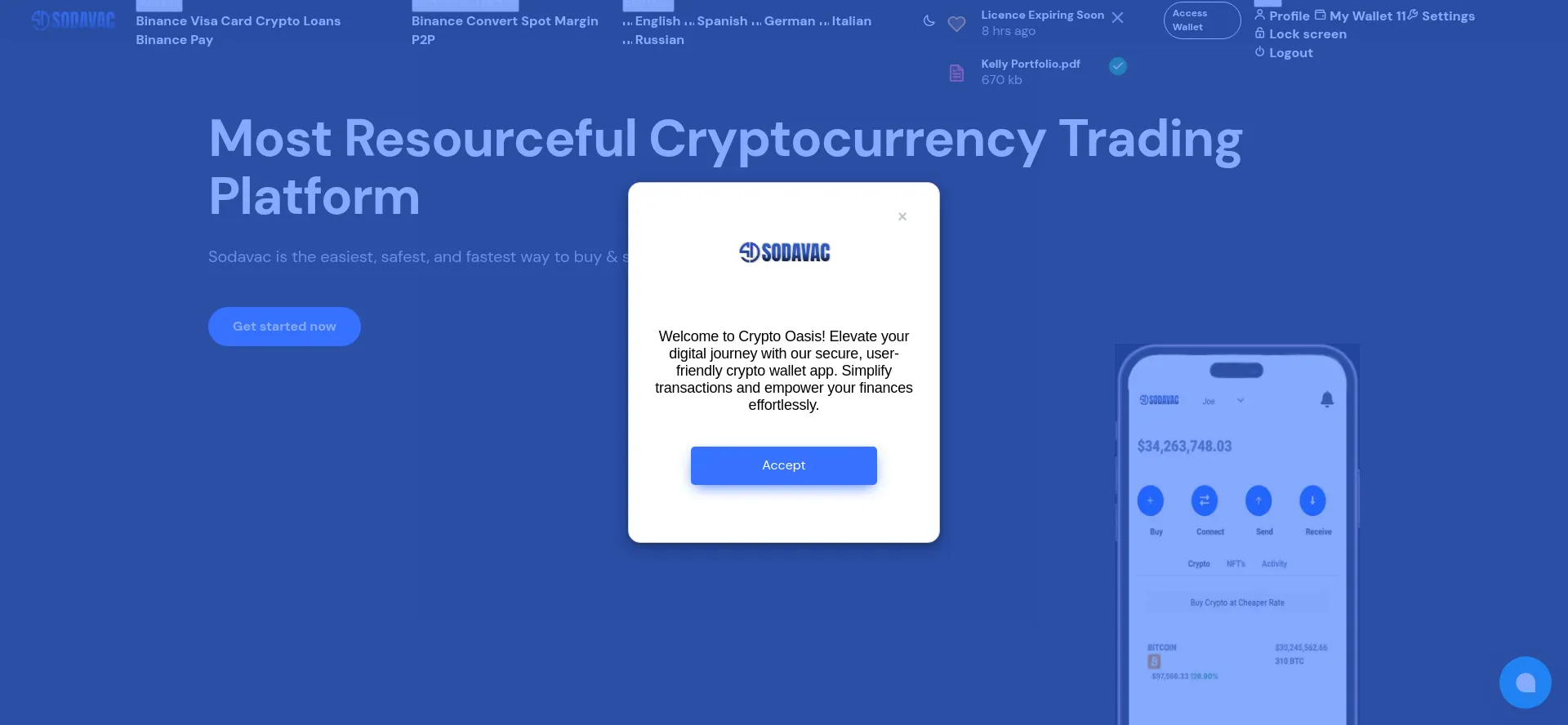 Website screenshot of Sodavac.com