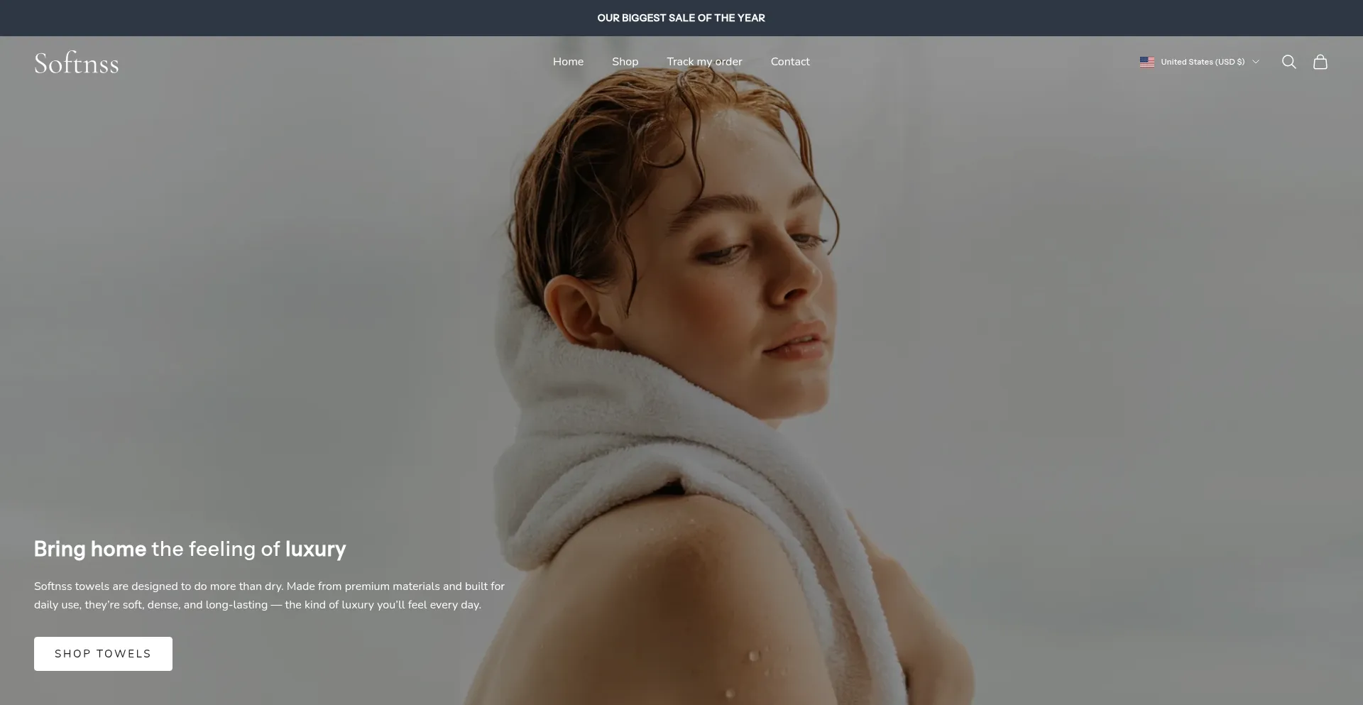 Website screenshot of Softnss.com