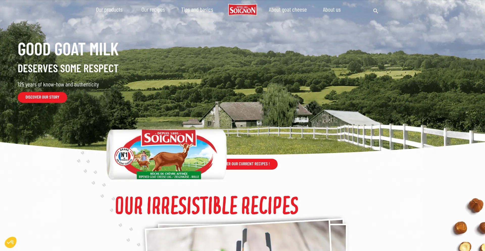 Soignon.com Screenshot