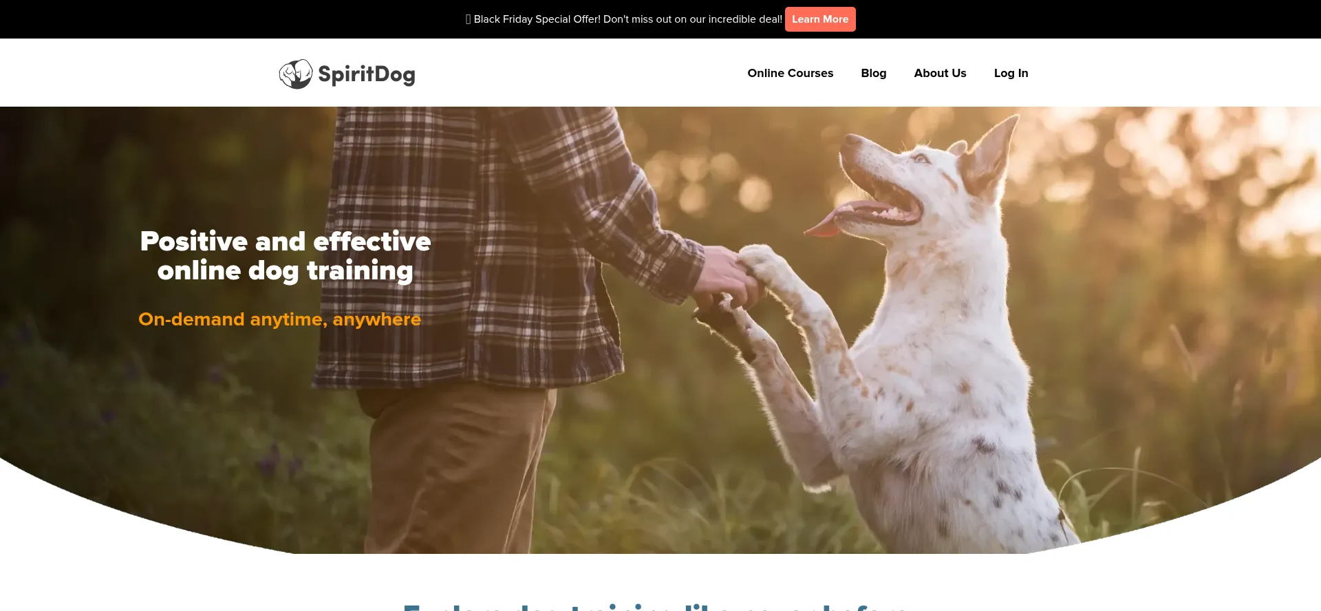 Spiritdogtraining.com