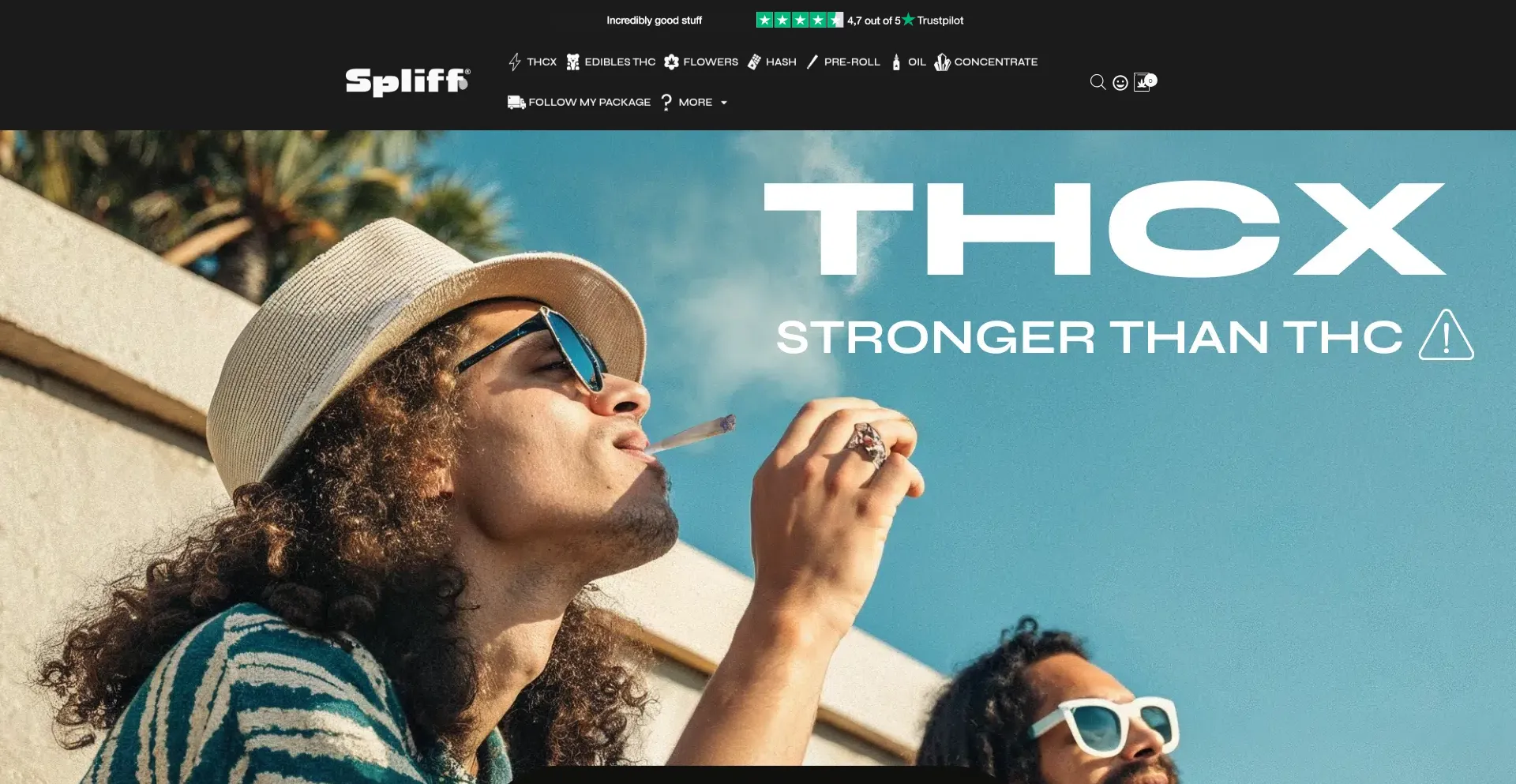 Website screenshot of Spliffstore.eu