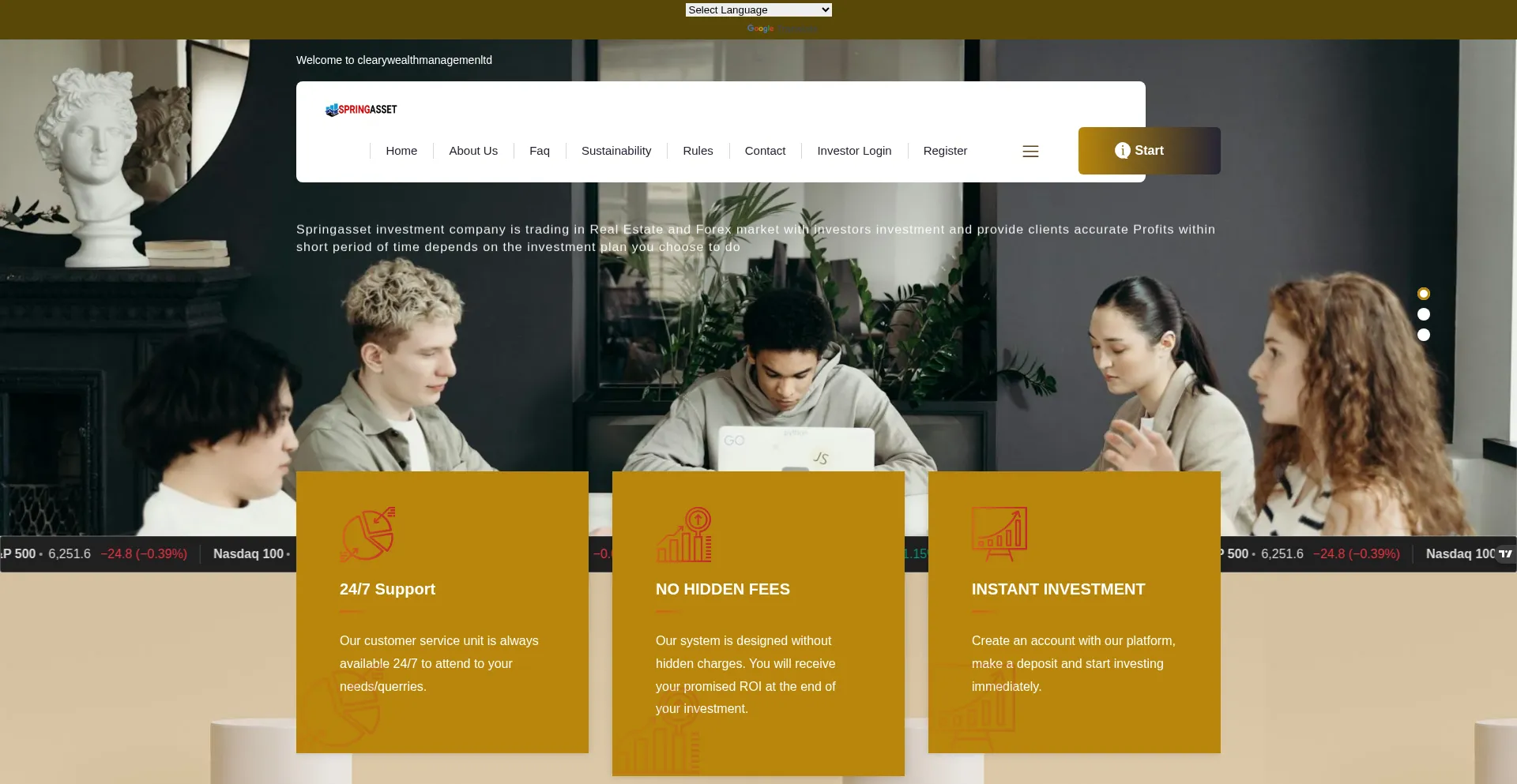 Website screenshot of Springasset.live