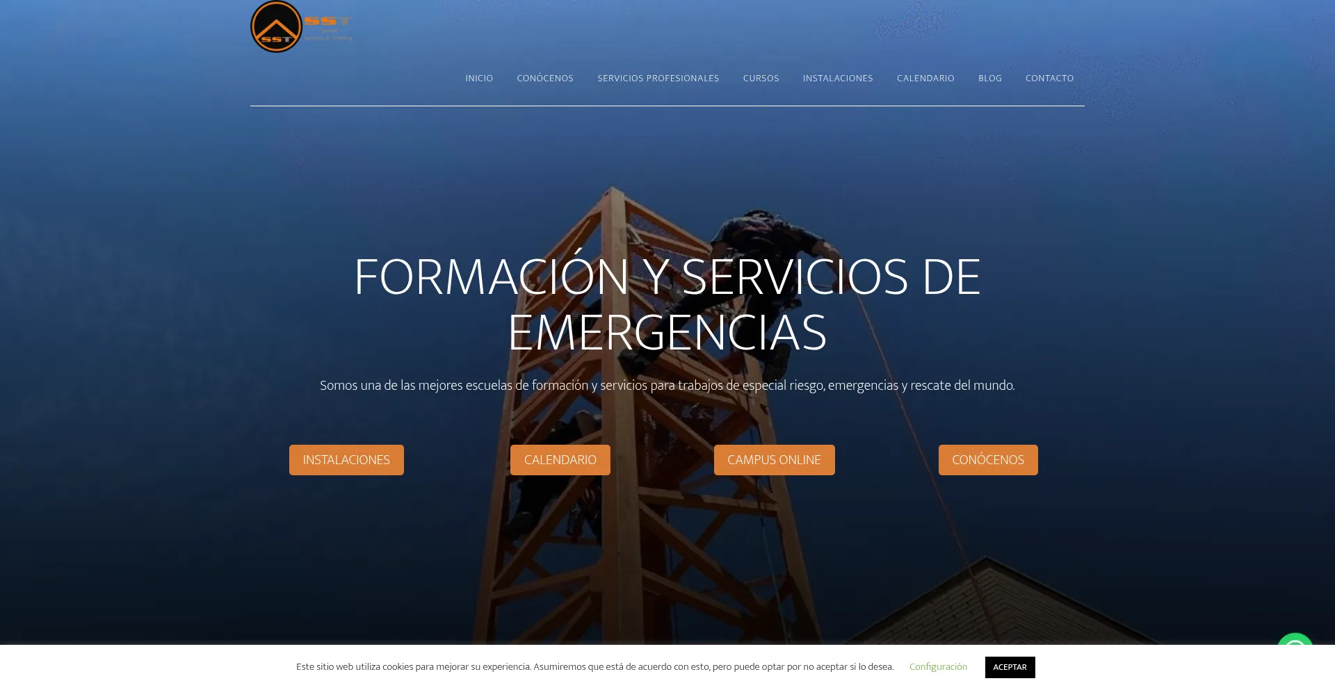 Website screenshot of Sstraining.es