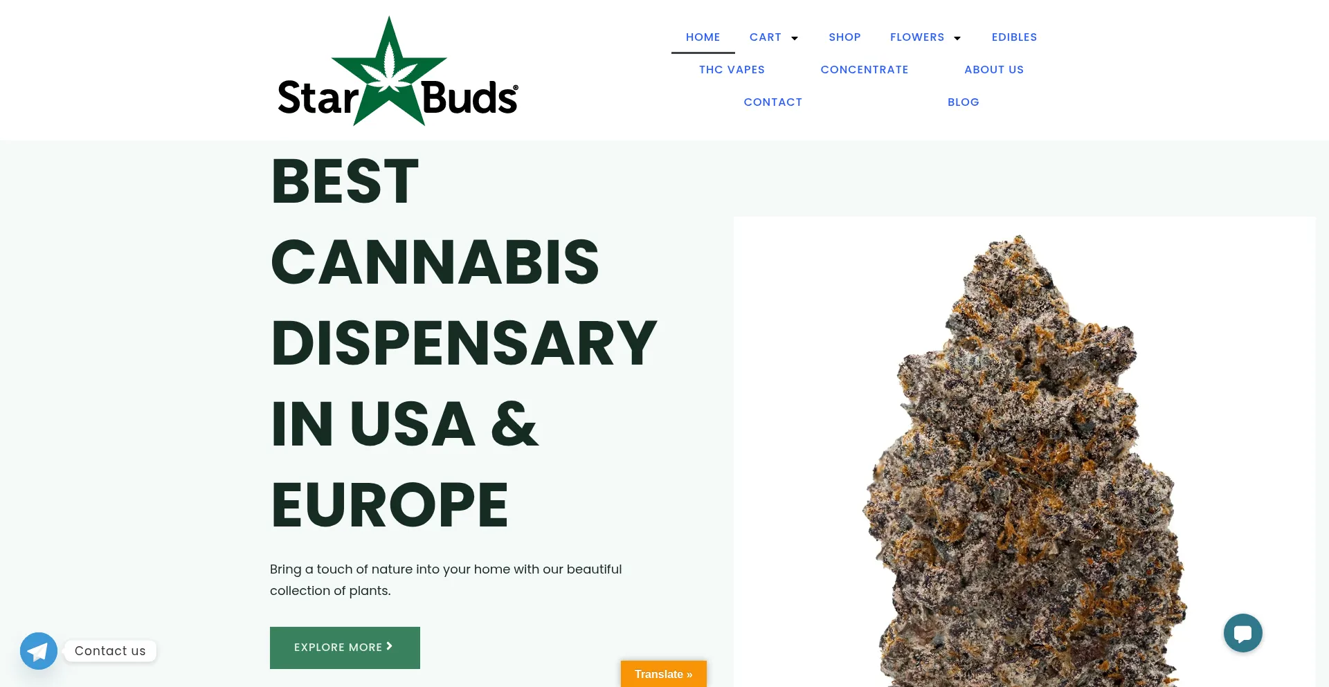 Starsbud.com