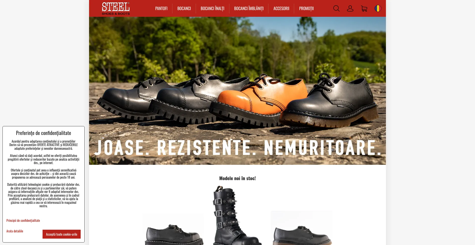 Steel-bocanci.ro é Seguro e Confiável?