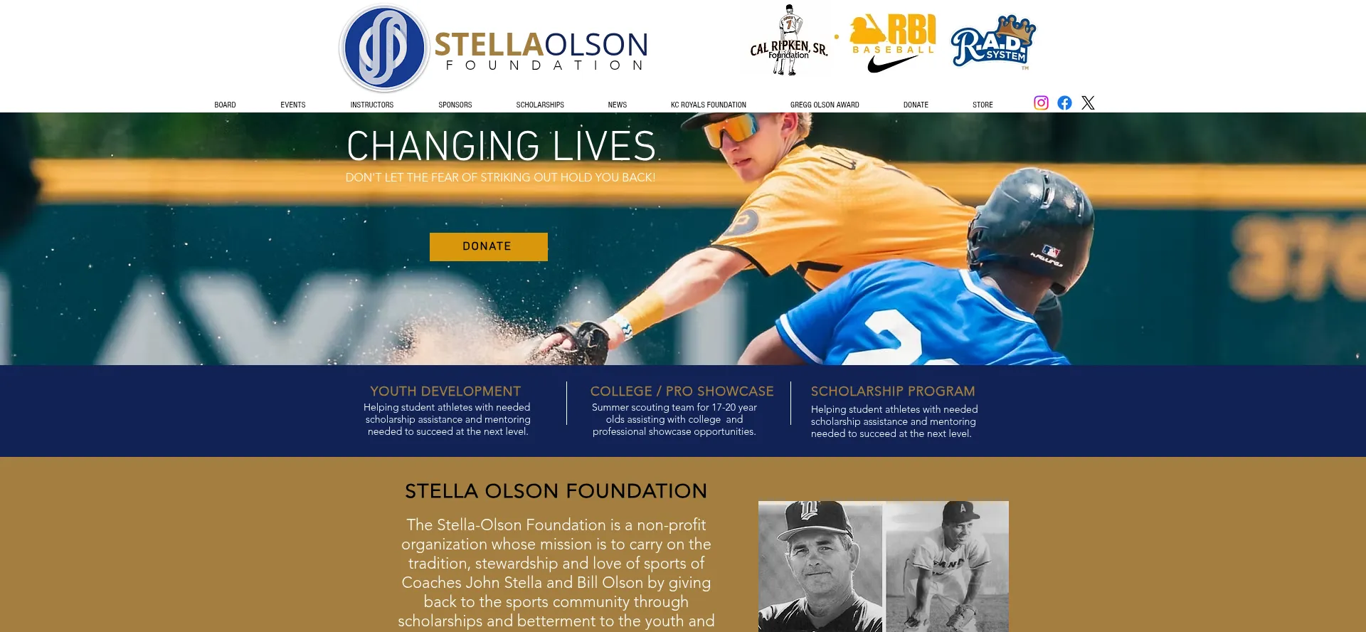 Stellaolsonfoundation.org