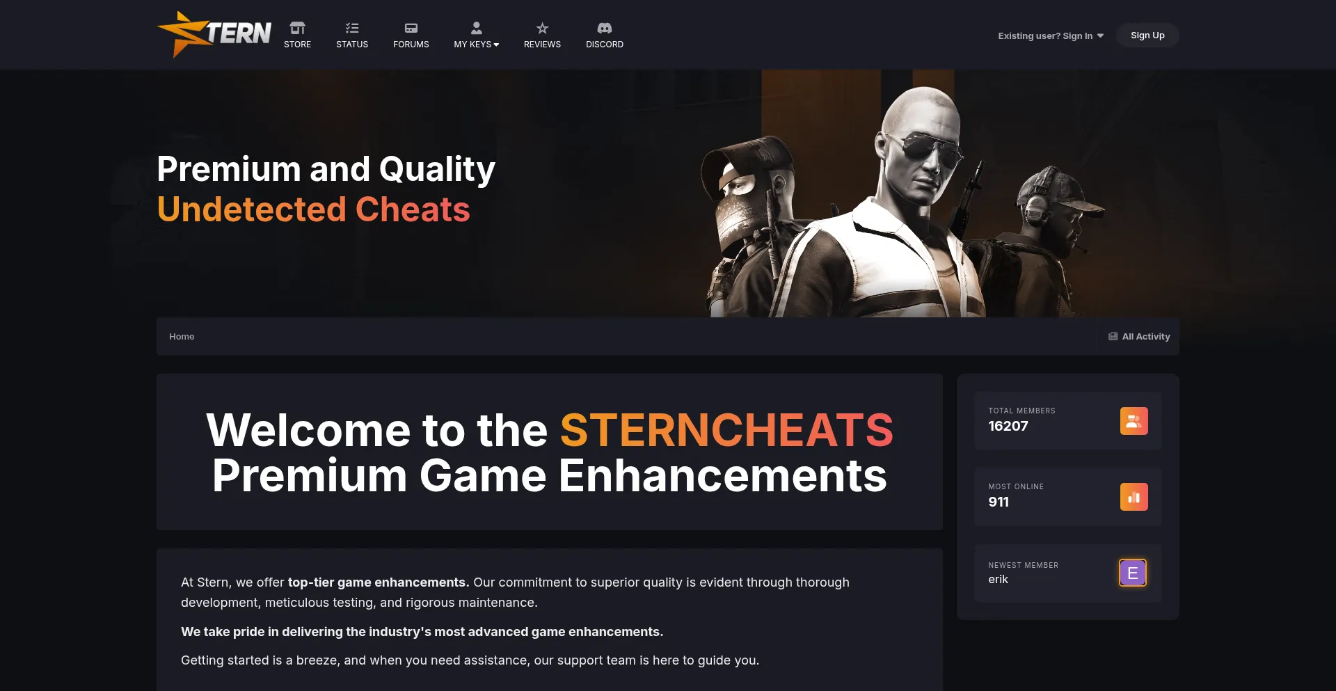 Website screenshot of Sternclient.biz
