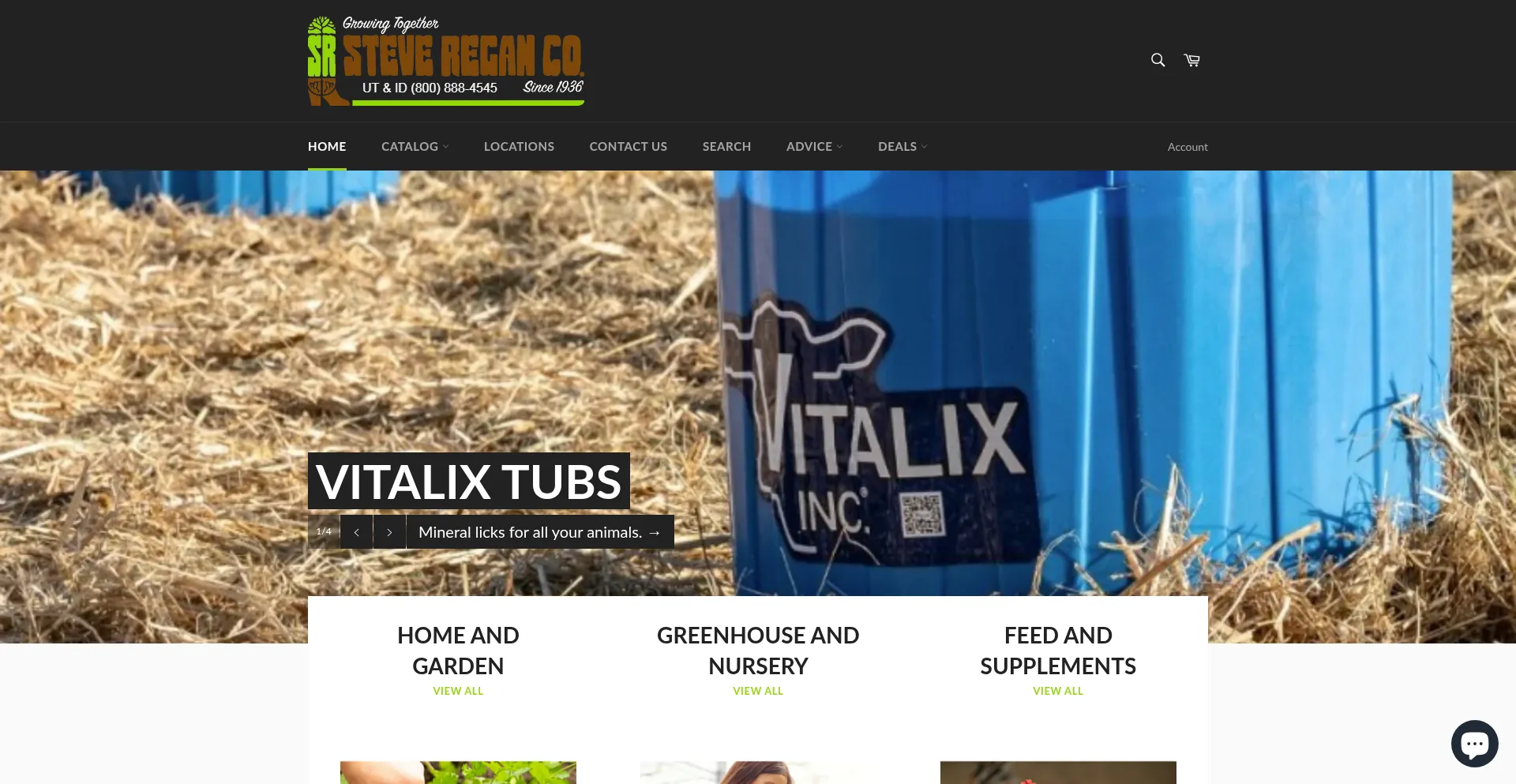 Website screenshot of Steveregan.com