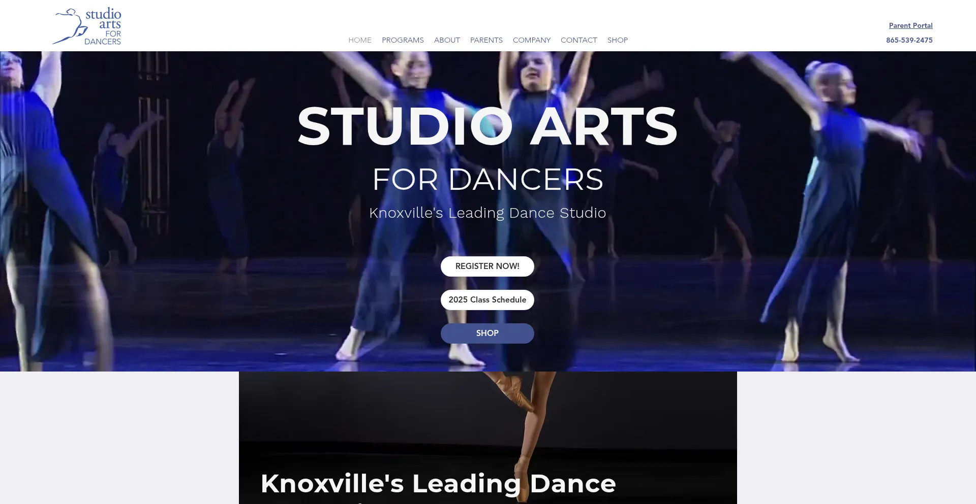 Studioartsfordancers.com