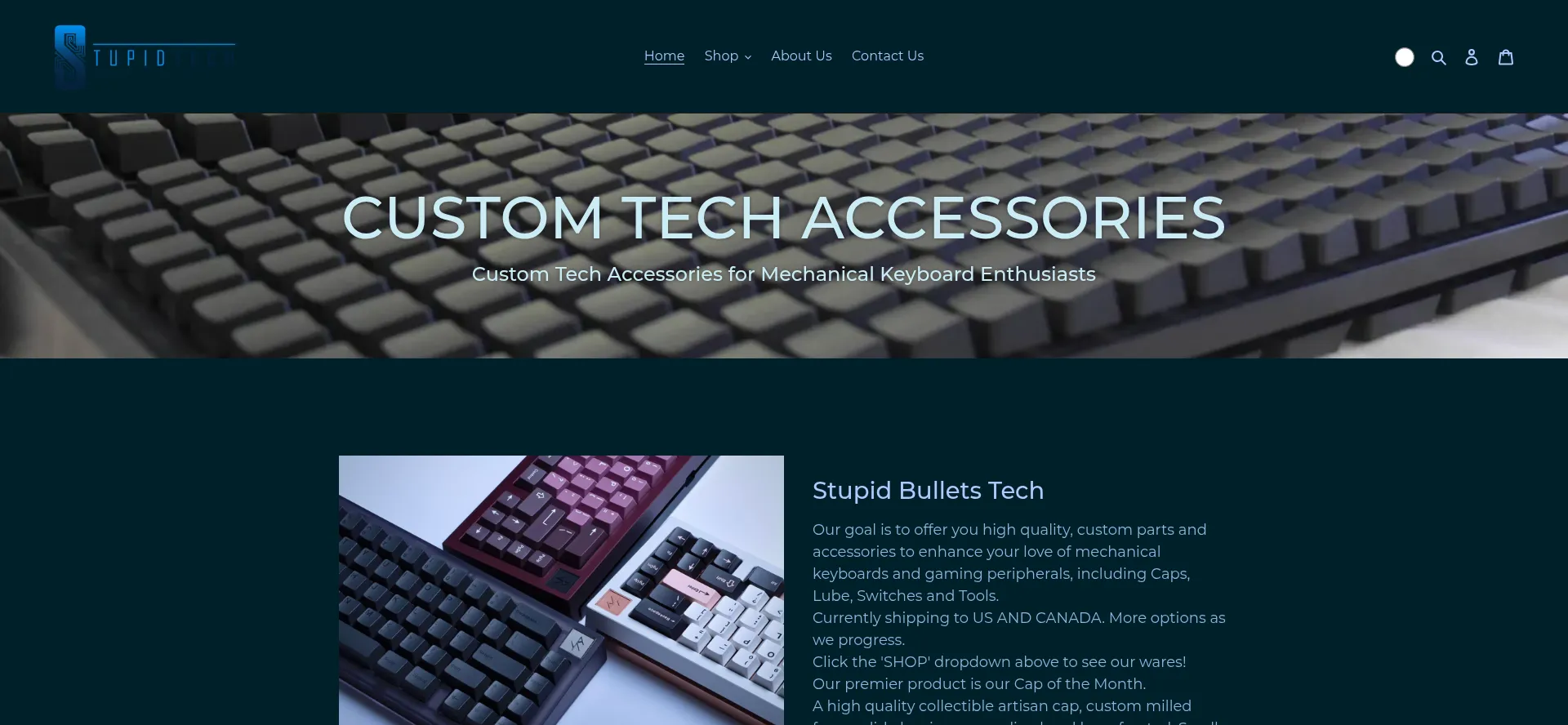 Stupidbulletstech.com