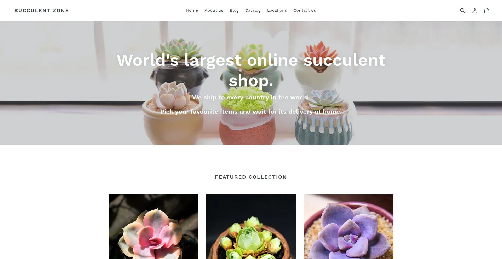Succulentzone.com
