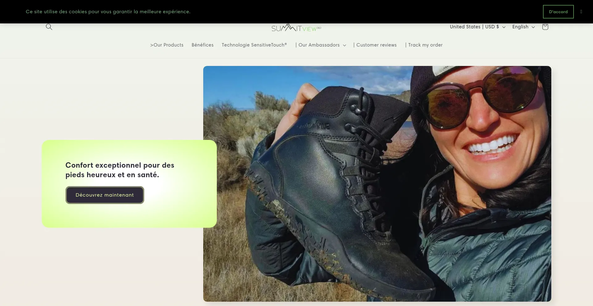 Website screenshot of Summitview360.ca