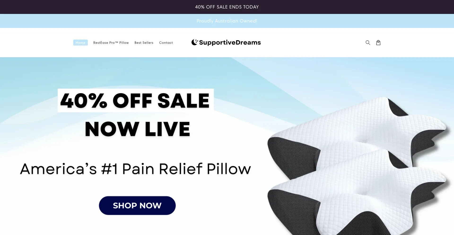 Website screenshot of Supportivedreams.com