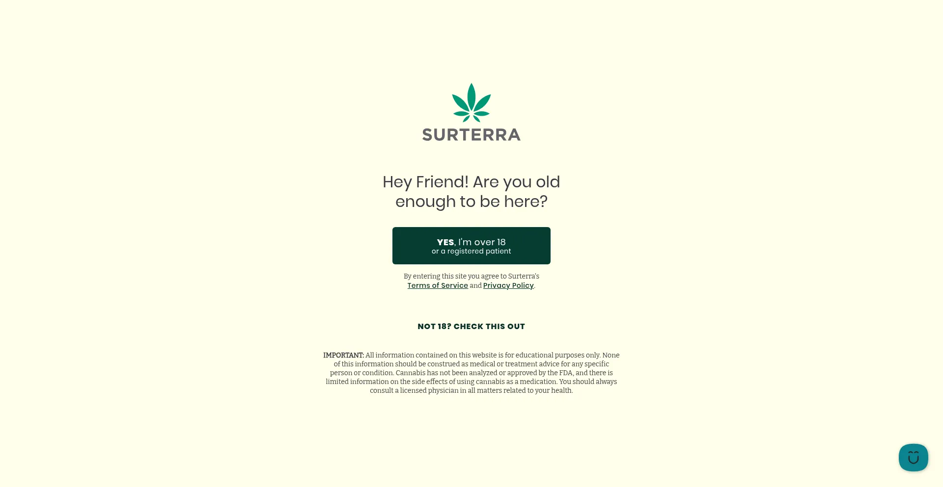 Surterra.com Screenshot
