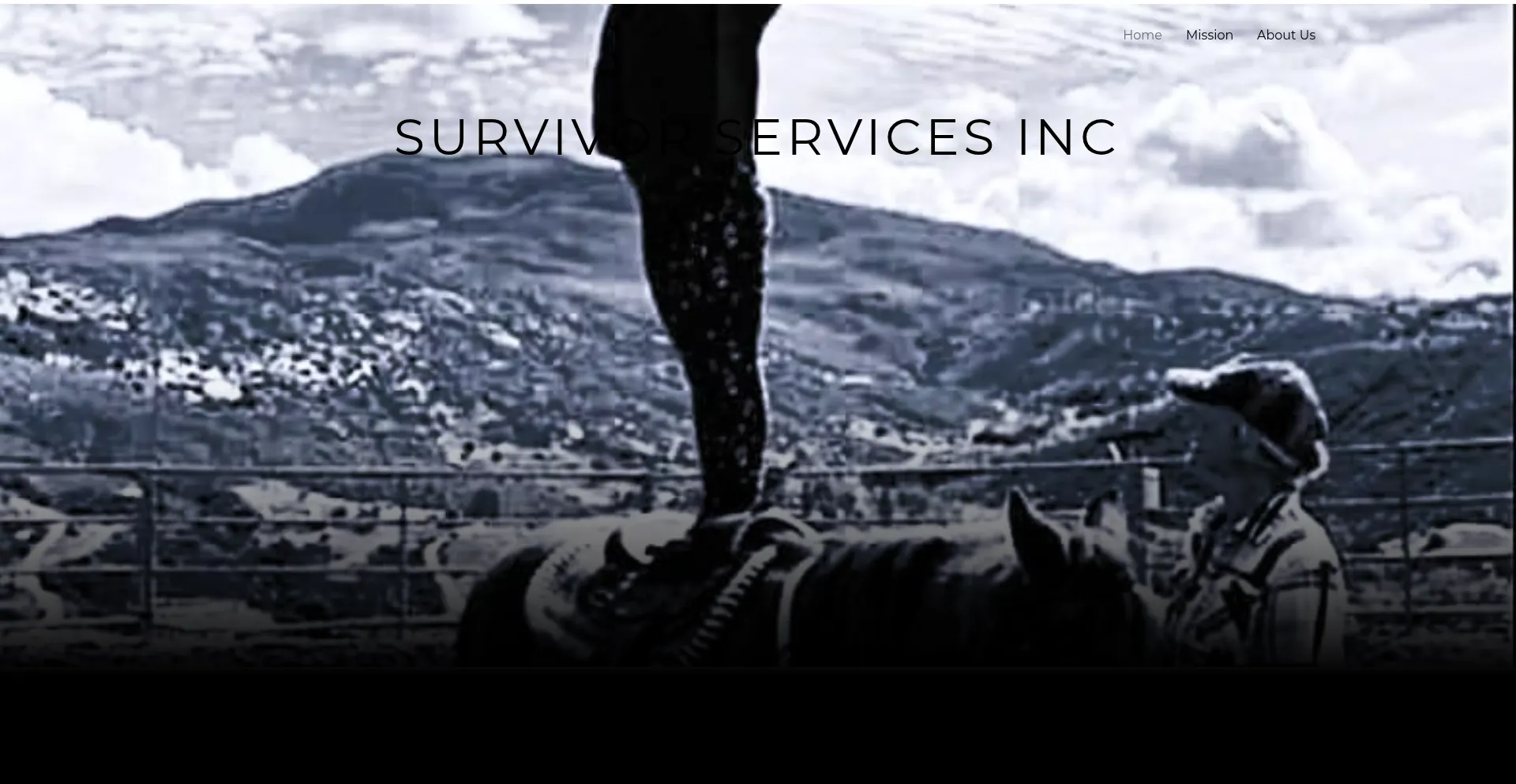 Survivorservicesinc.com