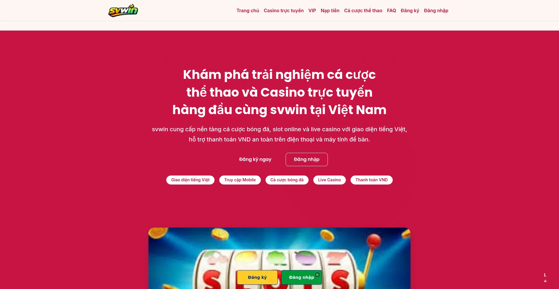 Svwin.net