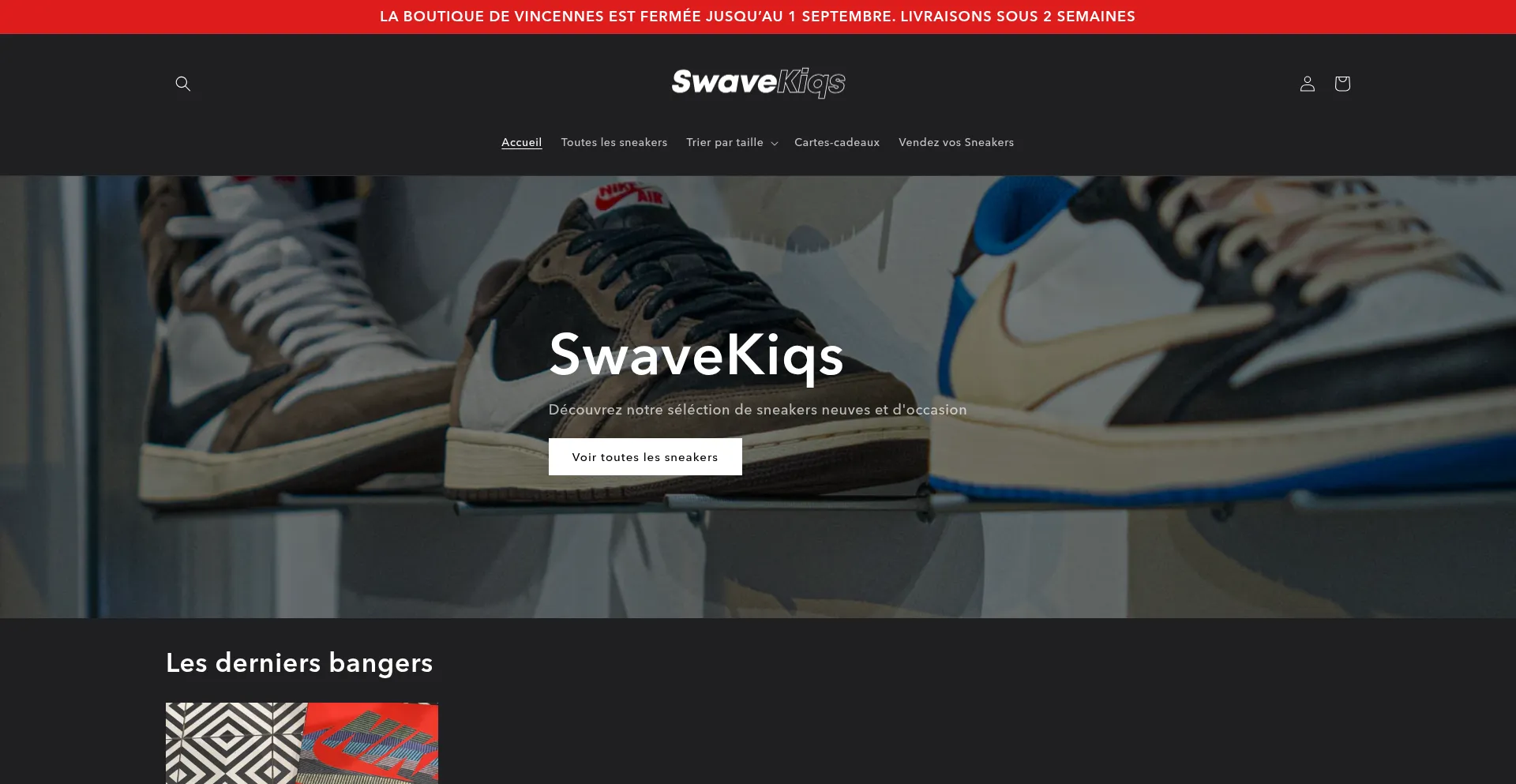Website screenshot of Swavekiqs.com