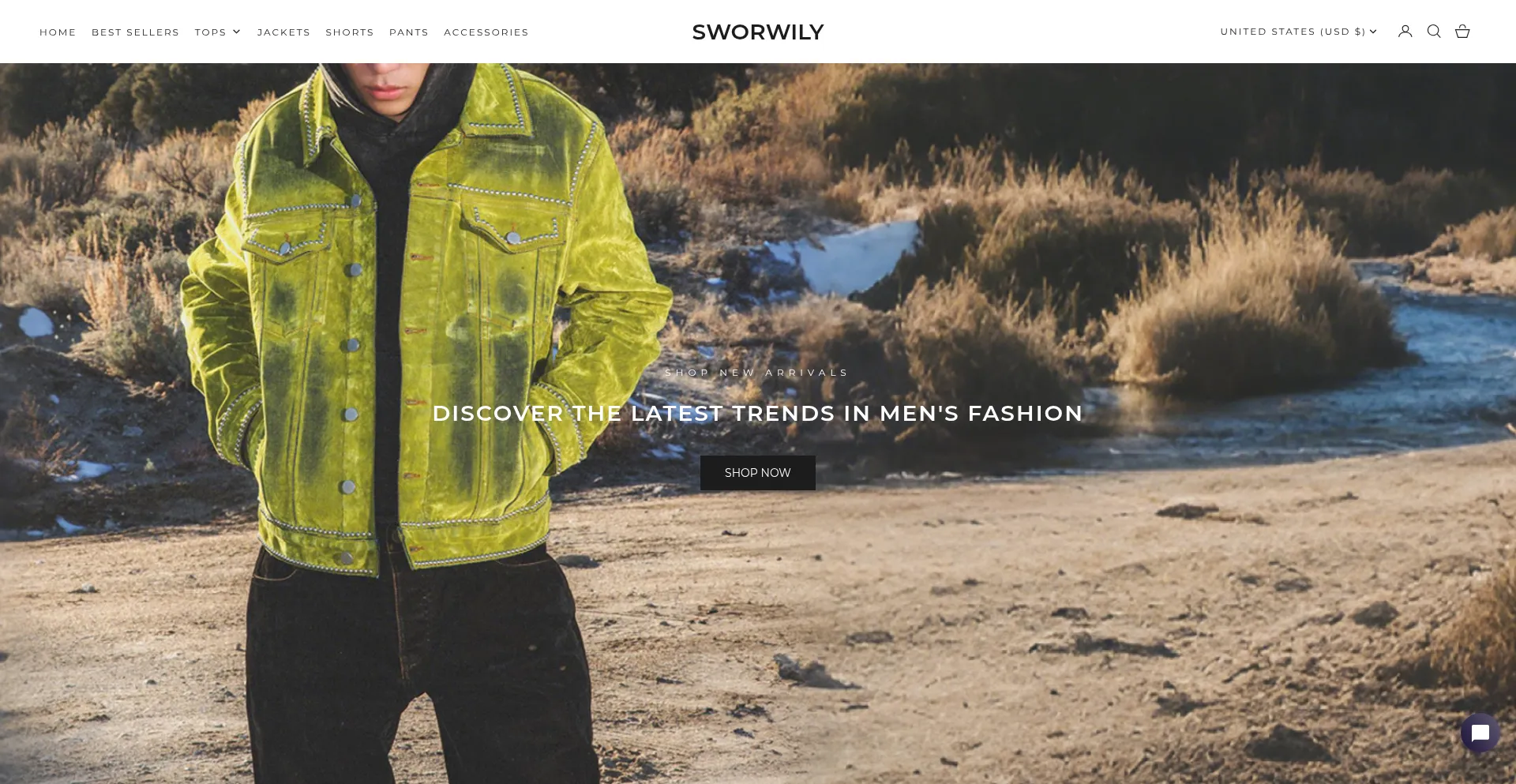 Website screenshot of Sworwily.com
