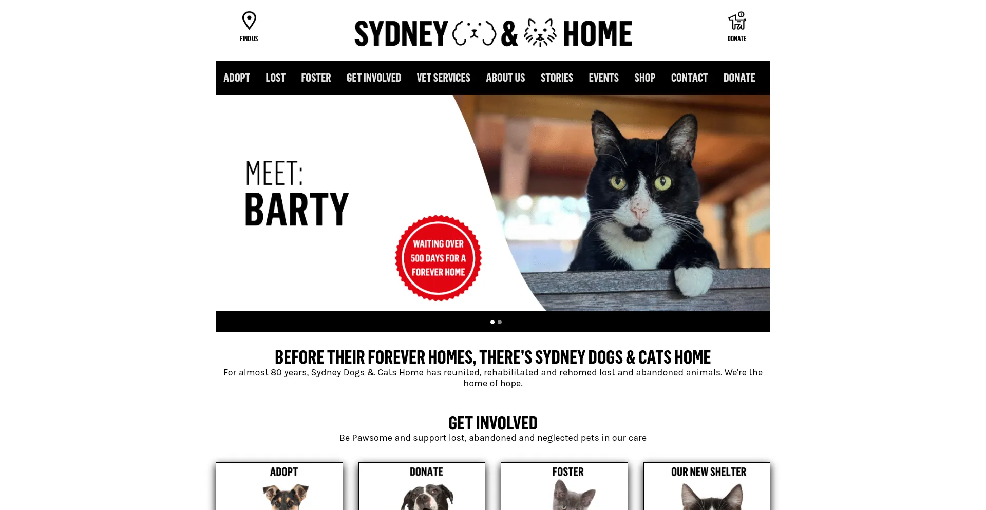 Sydneydogsandcatshome.org