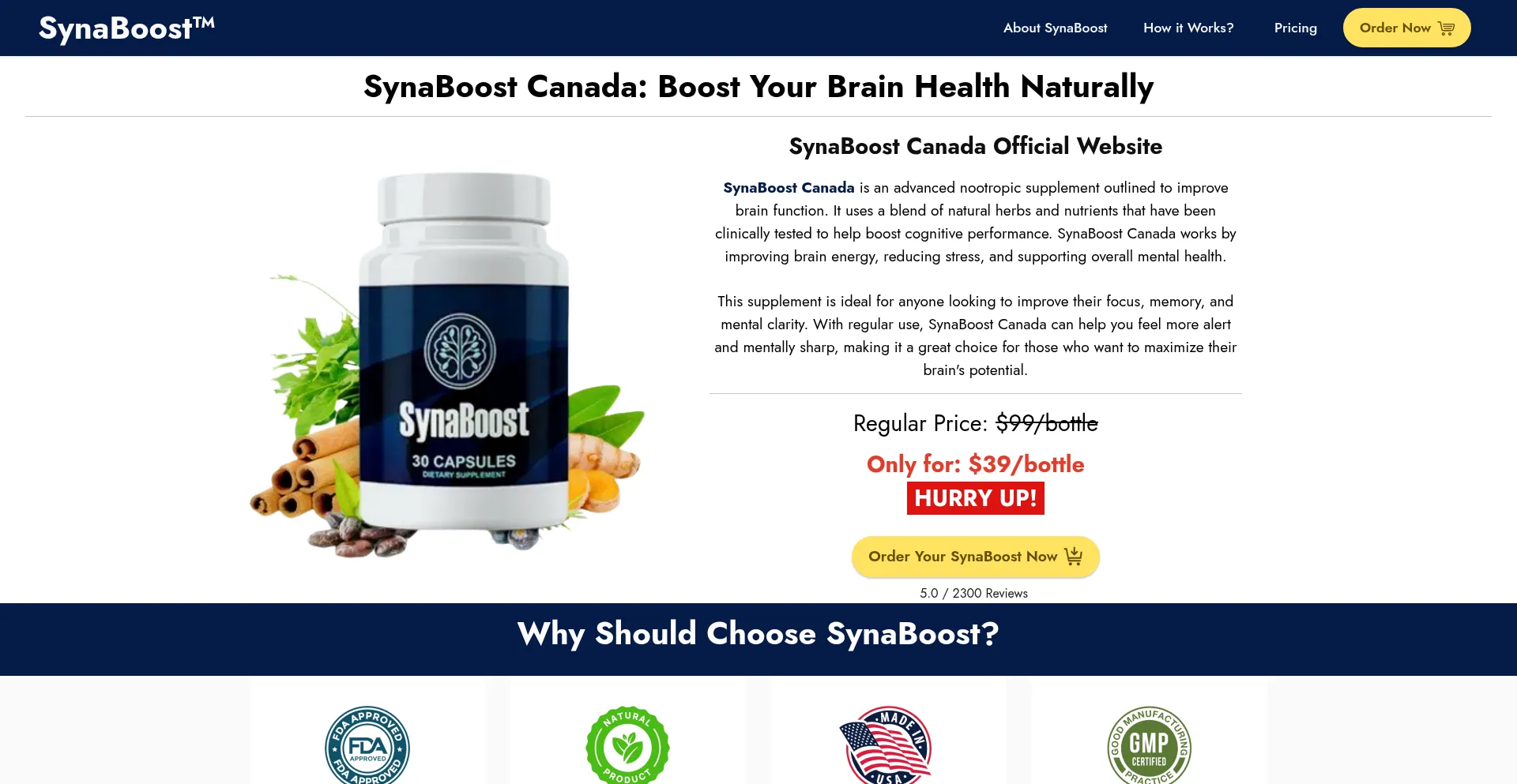 Website screenshot of Syna-boost.ca