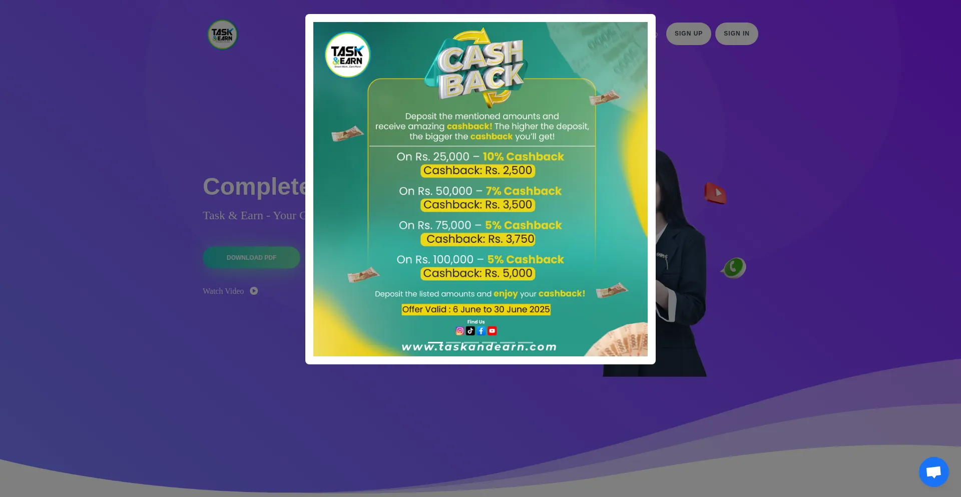 Website screenshot of Taskandearn.com